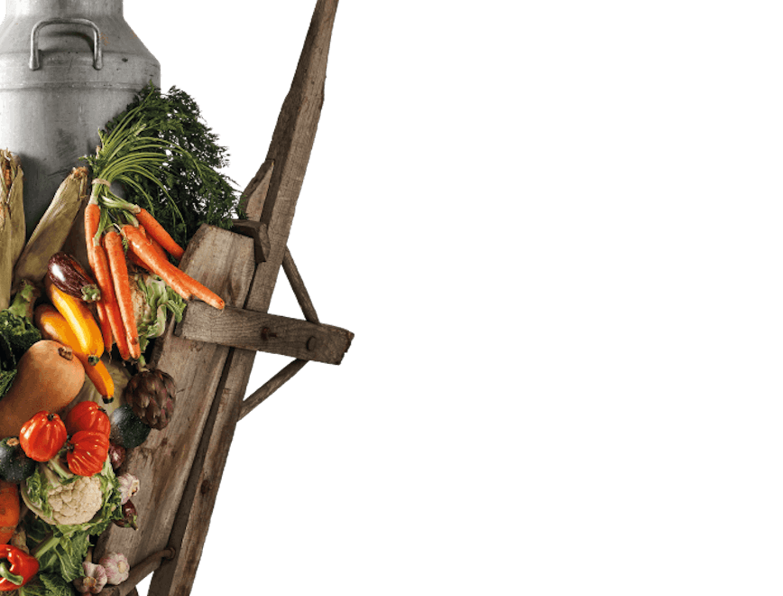 plant carrot food vegetable