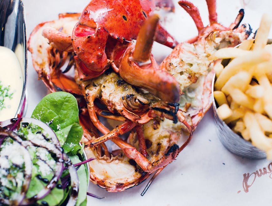 lobster animal sea life food seafood