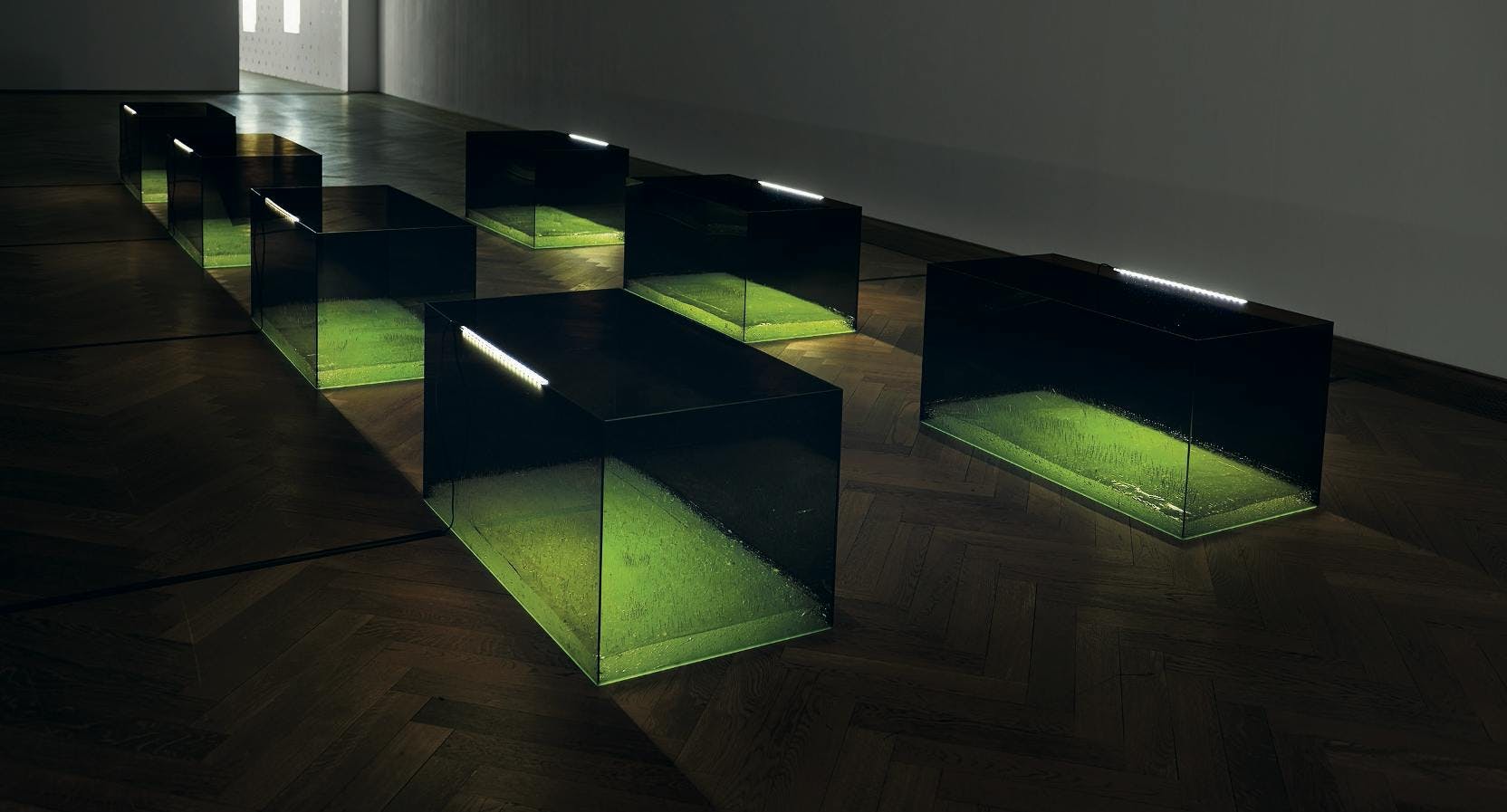 flooring wood lighting light