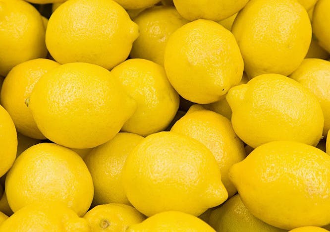 citrus fruit plant fruit food lemon
