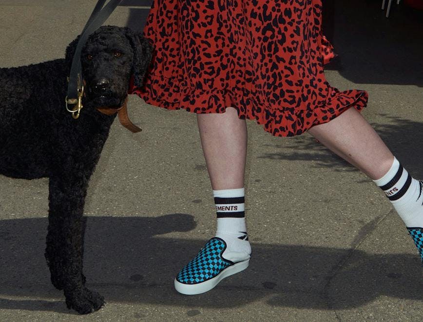 clothing person dog mammal animal canine pet shoe footwear strap