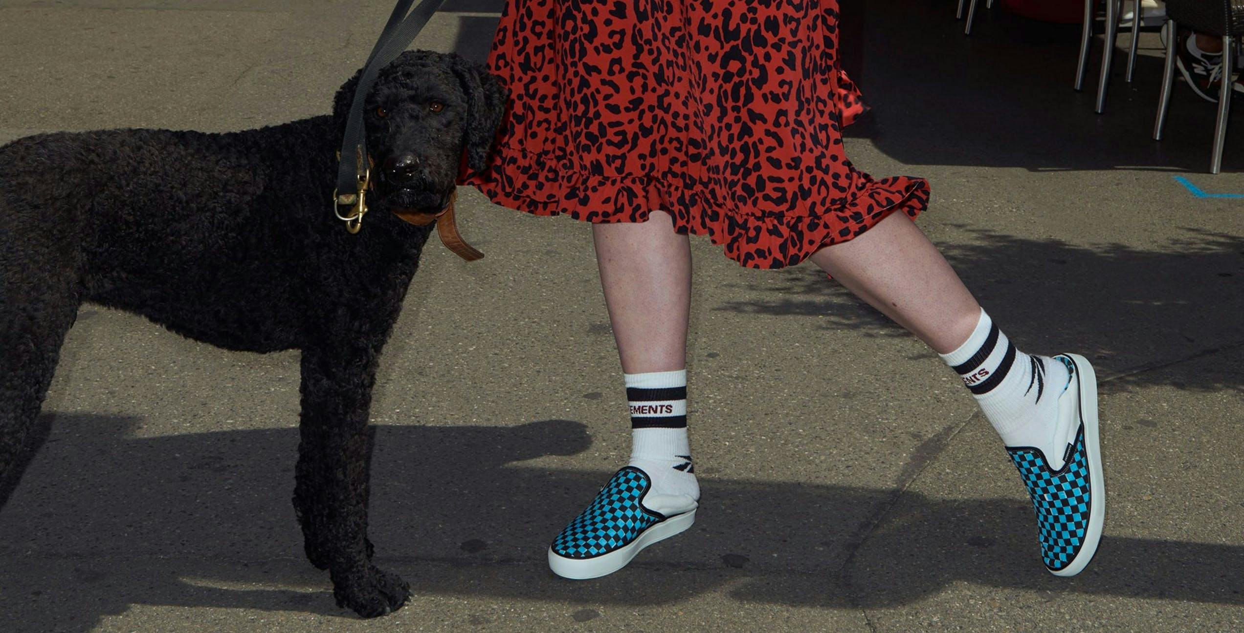 clothing person dog mammal animal canine pet shoe footwear strap