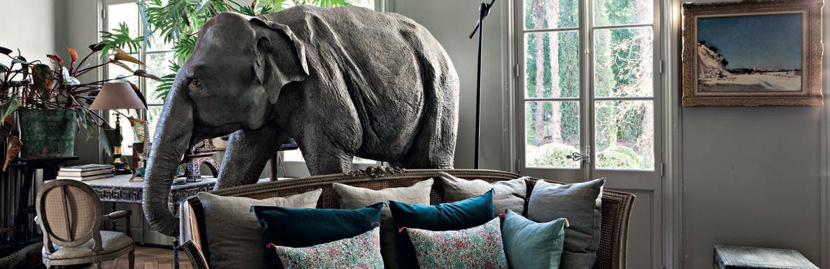 elephant animal mammal wildlife chair furniture
