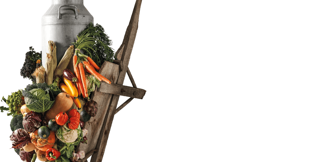plant carrot food vegetable