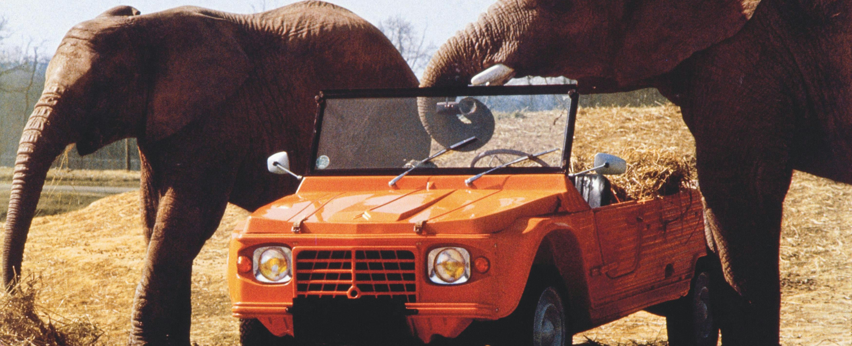 elephant animal mammal wildlife car transportation vehicle automobile