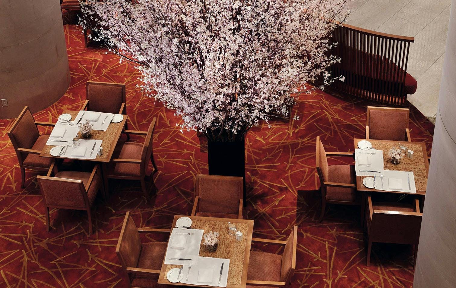 chair furniture wood plant restaurant plywood table flower blossom cafe