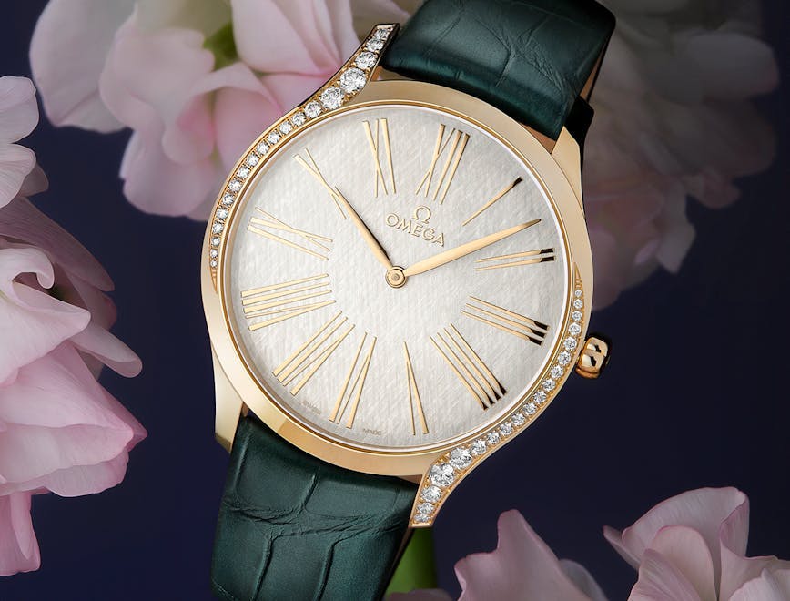 wristwatch plant flower blossom
