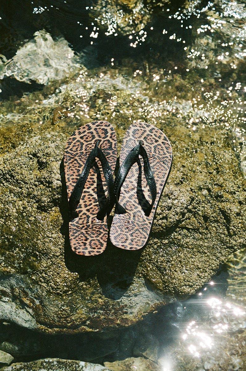 clothing apparel snake animal reptile footwear flip-flop