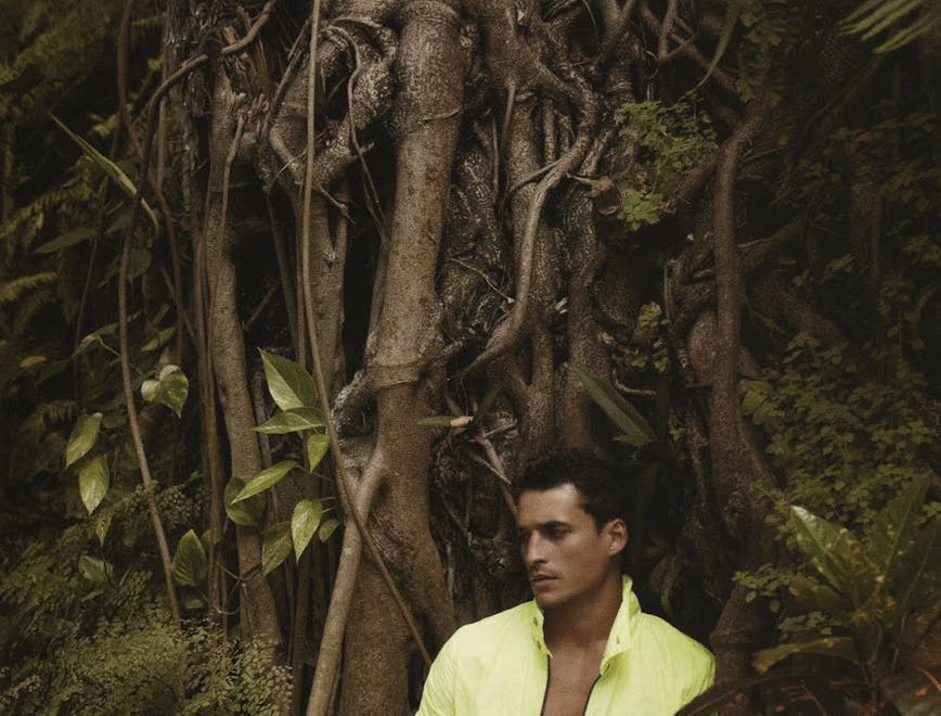 clothing apparel person human vegetation plant tree footwear sleeve