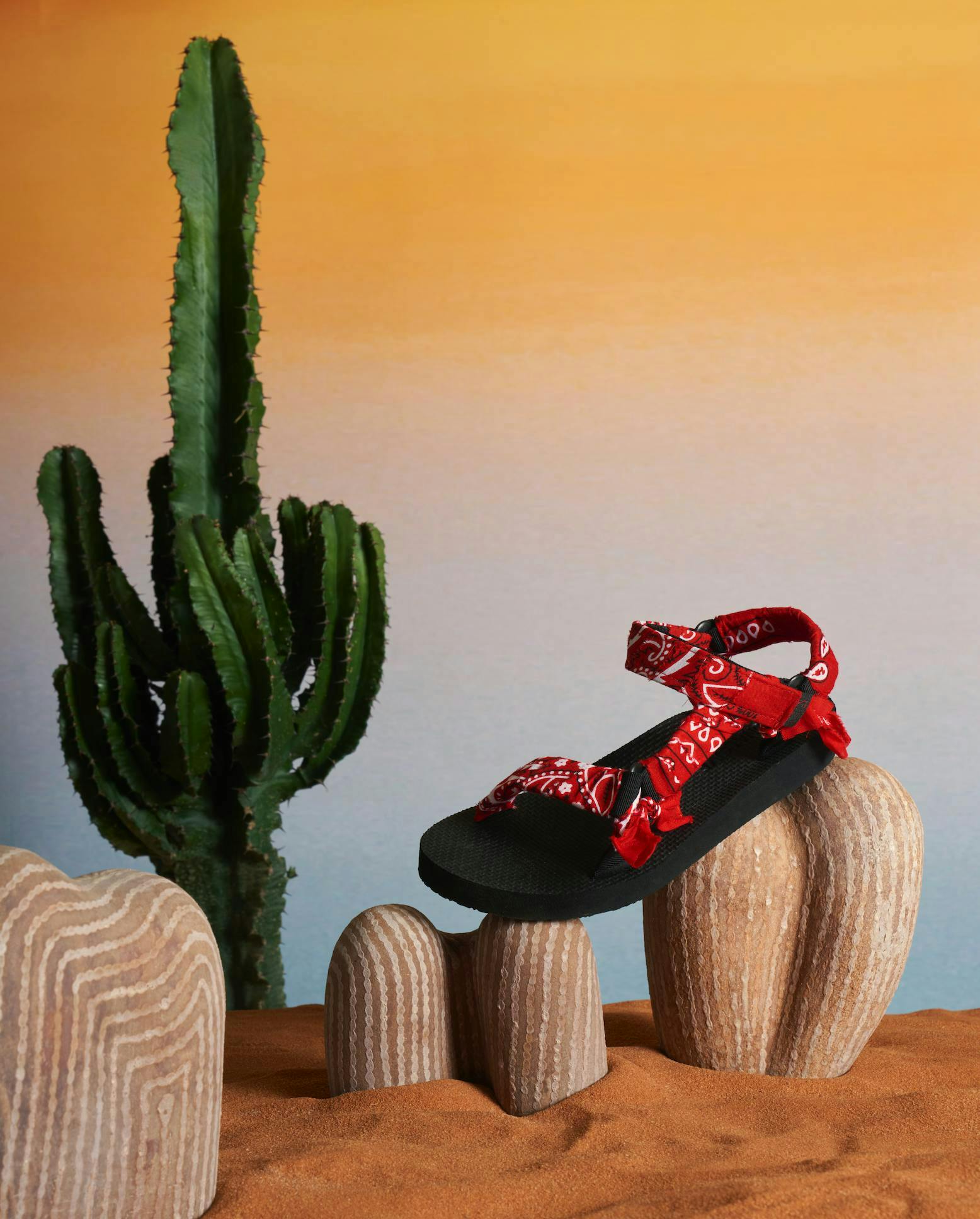 plant clothing footwear shoe sandal