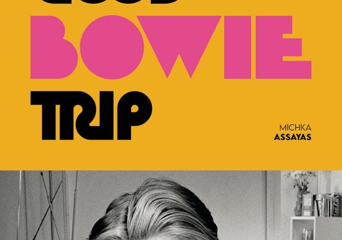 Michka Assayas : Very Good Bowie Trip (GM Editions, 176 pages, 20 €)
