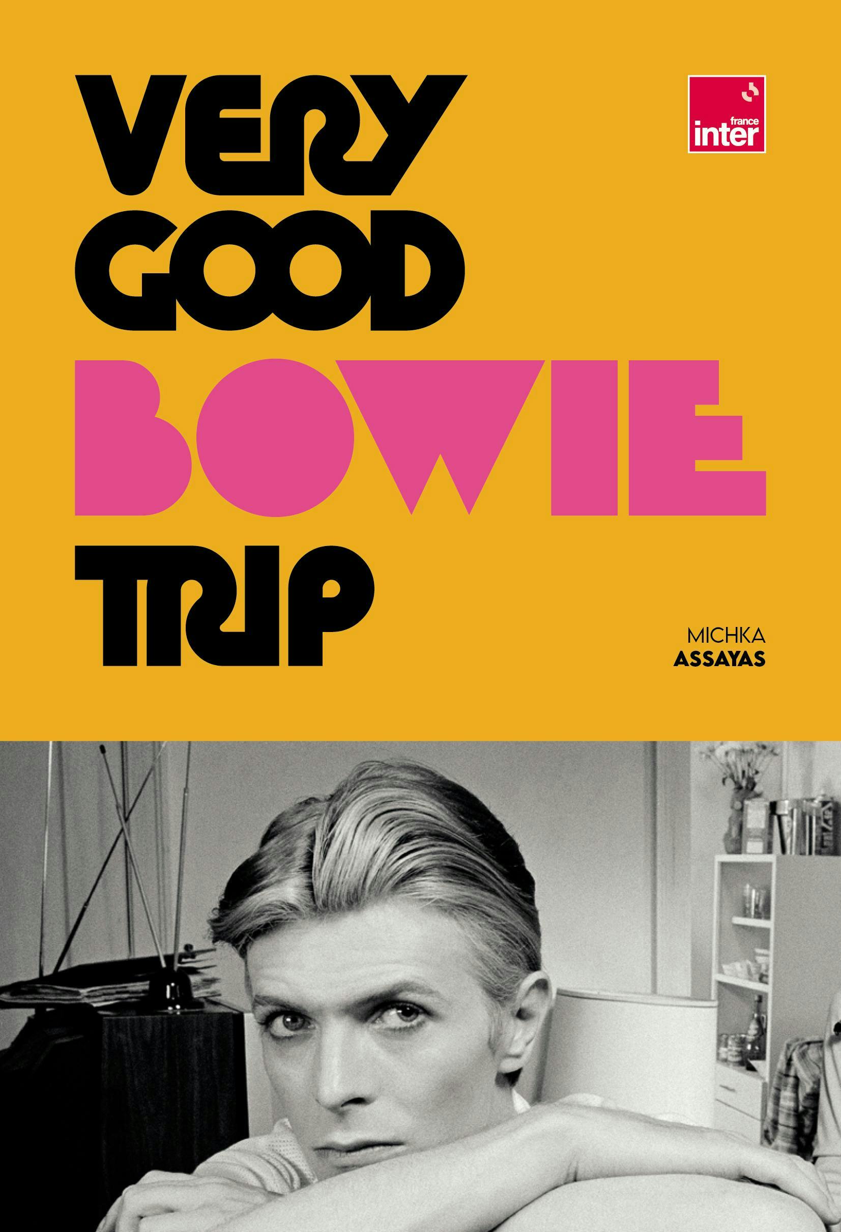 Michka Assayas : Very Good Bowie Trip (GM Editions, 176 pages, 20 €)