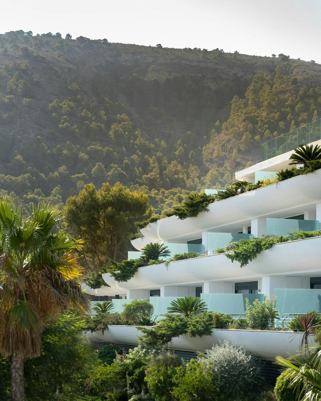 summer building hotel palm tree plant tree resort nature outdoors villa